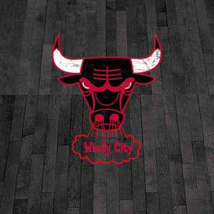 NBA Chicago Bulls Hardwood Classics Galaxy Book 12in Skin
